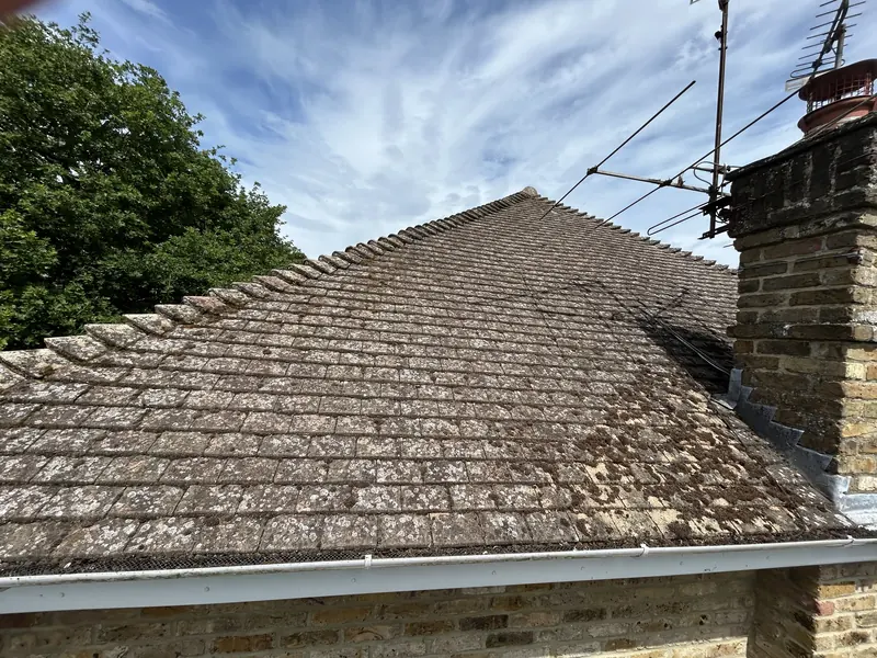 Tiled bungalow roof with moss growth before cleaning