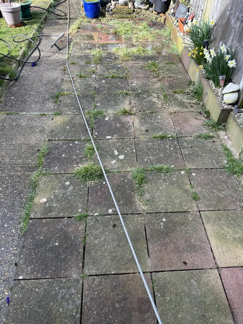Paving slab path with weeds growing through the joints before cleaning