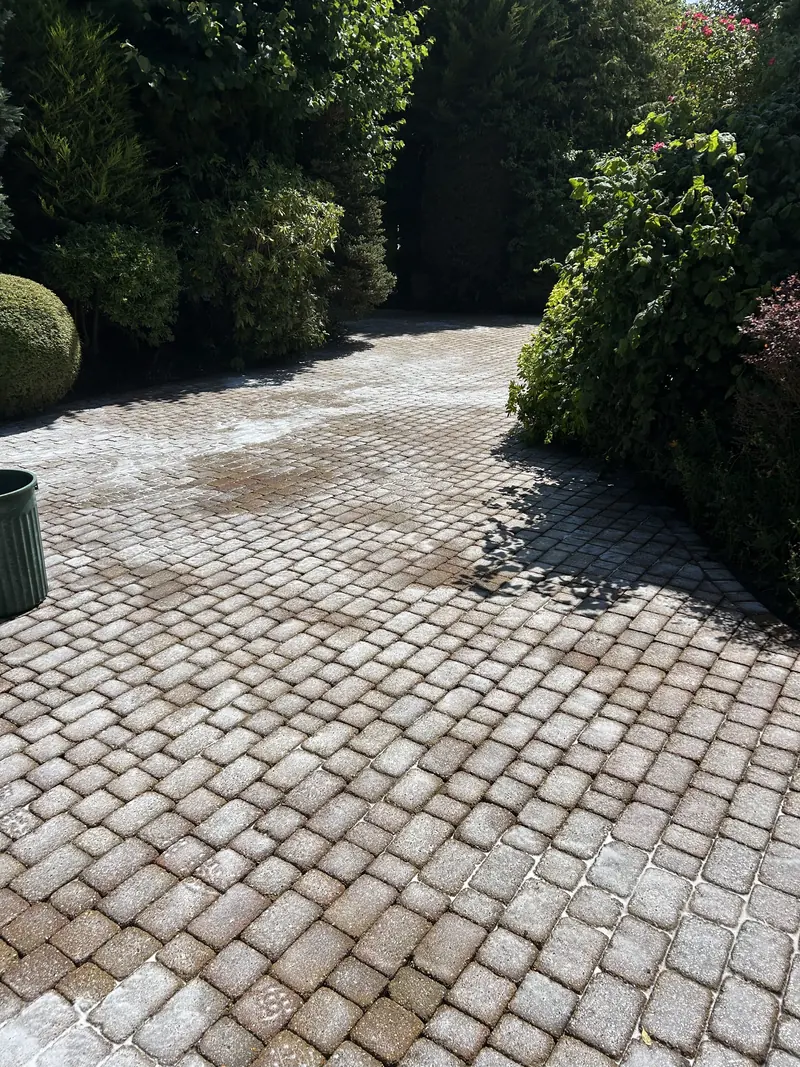 Block-paved driveway partly cleaned between hedges